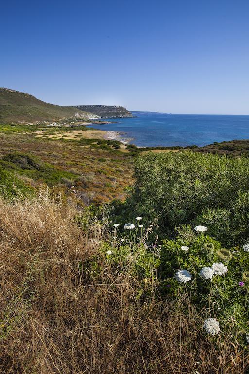 Residenza Solemar Villa Bosa Marina Buitenkant foto